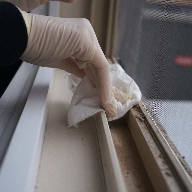 Cleaning Services in Bloomington, Indianapolis, Lafayette, Fort Wayne, South Bend Indiana Cleaning Services in Bloomington, Indianapolis, Lafayette, Fort Wayne, South Bend Indiana